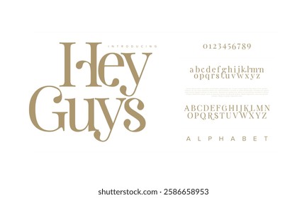 Heyguys typography beauty fashion elegant minimalist serif italic fonts decorative wedding vintage retro logos. Minimal luxury font alphabet logo. Vector illustration