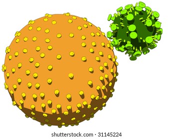hi virus infecting cell