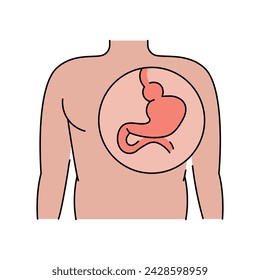 Hiatal hernia line icon. Vector isolated element. Editable stroke.
