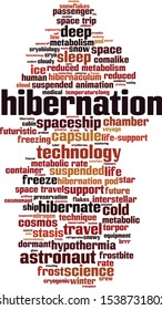 Hibernation word cloud concept. Collage made of words about hibernation. Vector illustration 