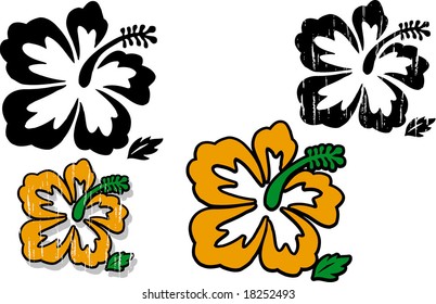 Hibiscus