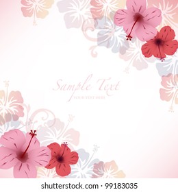 hibiscus background
