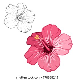 Hibiscus Beautiful Blooming Flower Isolated On White Background. Closeup Macro Detailed View. Color Black White Outline Sketch Drawing Set. Exotic Tropical Spring Summer Botanical Vector Design.