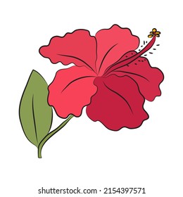 Hibiscus gran brote rojo brillante. Flor tropical para cartas o invitaciones