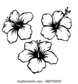 Hibiscus Black And White Vector Set