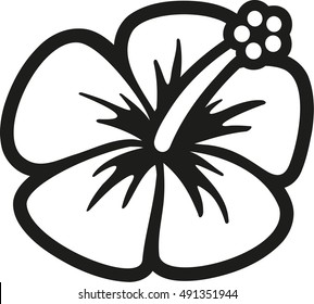 Hibiscus blossom outline