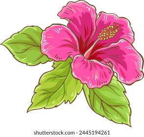 Hibiscus Branch Colored Detailed Illustration