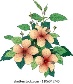 
hibiscus branch with flowers