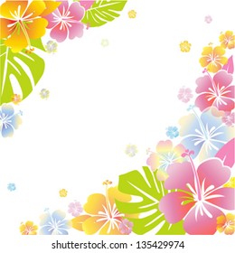 Hibiscus   Card  Illustration