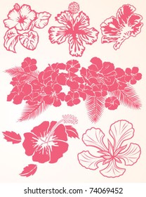 Hibiscus Collection