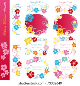 Hibiscus design elements set. Illustration vector.