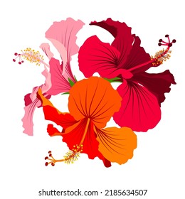 Hibiscus detailed full bloom flowers set. Floral clip art. Colorful botanical vector image.