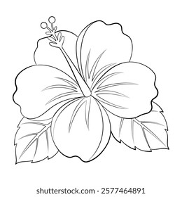 Hibiscus doodle style line art. hibiscus flower Hand drawn black and white. Tropical exotic plant foliage element for web graphic design poster tattoo Coloring page. Vector illustration