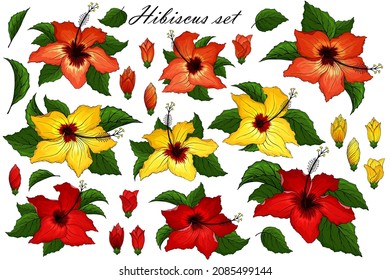 Collection d'éléments Hibiscus. Des fleurs, des bourgeons et des feuilles s'installent. Modèle de plante tropical isolé sur fond blanc. Pack d'objets floral exotiques. Forfait Hibiscus pour carte de voeux, autocollant, impression.