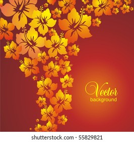 Hibiscus. Floral background.