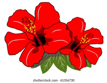 Hibiscus, floral element for design