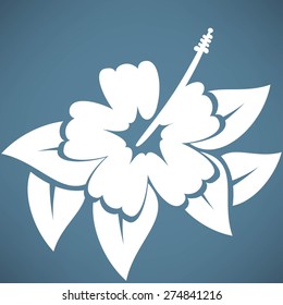 Hibiscus flower