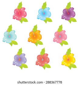 Hibiscus flower