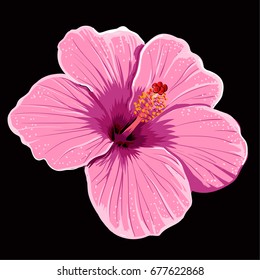 hibiscus flower