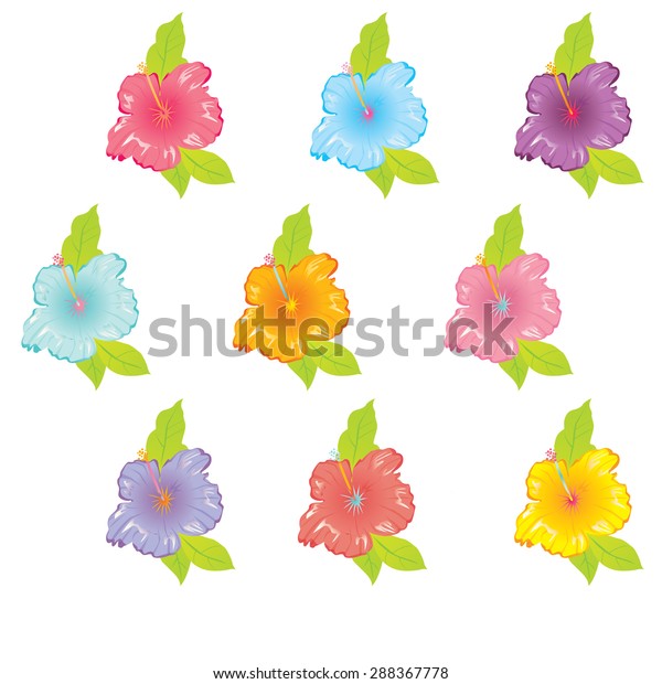 Hibiscus Flower Stock Vector Royalty Free 288367778 Shutterstock