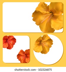 hibiscus flower background cards with space for copy