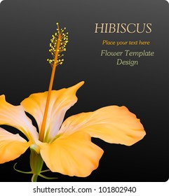 hibiscus flower background design