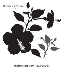 Hibiscus flower. Black silhouette on white background. Vector illustration