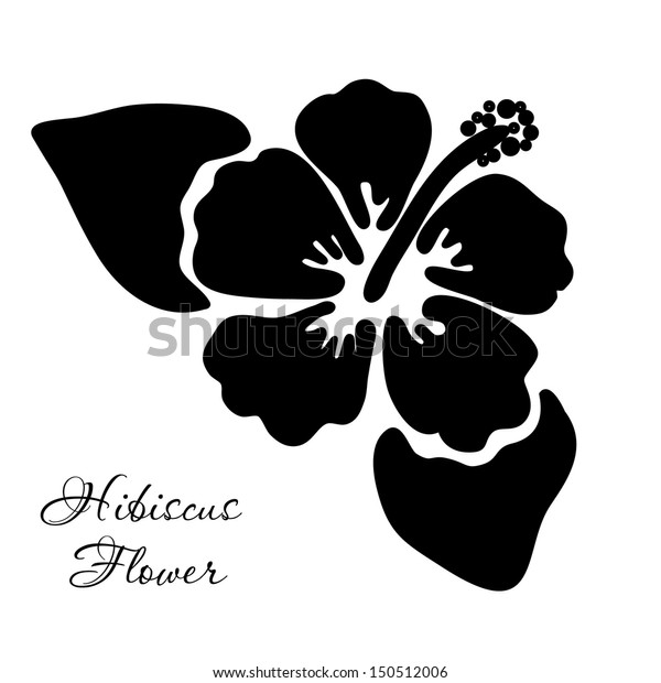 Hibiscus Flower Black White Vector Illustration Stock Vector (Royalty ...