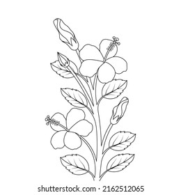 Hibiscus Flower Bud Coloring Page Illustration Stock Vector (Royalty ...