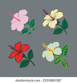  Hibiscus flower bundle in different color. elegant greeting card elements.