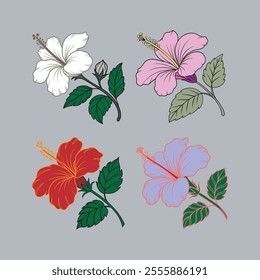 Hibiscus flower bundle in different color with leaves, elegant flower icon for greeting card.