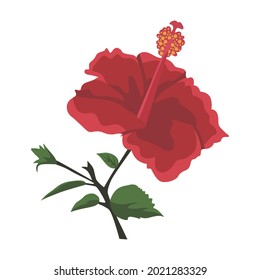 Hibiscus Flower color clip art Design