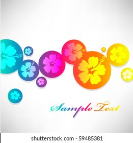 Hibiscus flower Colorful background