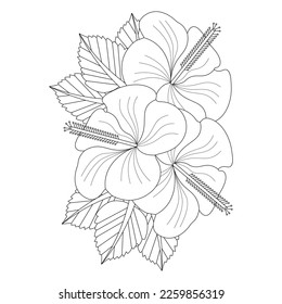 Hibiscus Flower Coloring Page And Book illustration Line Art Hand Drawn Of Beautiful Flower Black And White Vector Flower