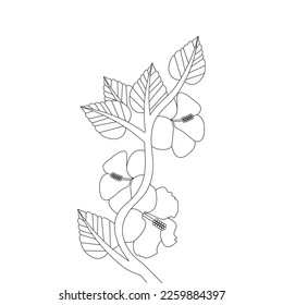 Hibiscus Flower Coloring Page And Book illustration Line Art Hand Drawn Of Beautiful Flower Black And White Vector Flower