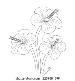 Hibiscus Flower Coloring Page And Book illustration Line Art Hand Drawn Of Beautiful Flower Black And White Vector Flower