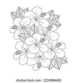 Hibiscus Flower Coloring Page And Book illustration Line Art Hand Drawn Of Beautiful Flower Black And White Vector Flower