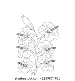 Hibiscus Flower Coloring Page And Book illustration Line Art Hand Drawn Of Beautiful Flower Black And White China Rose Drawing Vector Flower 