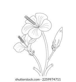 Hibiscus Flower Coloring Page And Book illustration Line Art Hand Drawn Of Beautiful Flower Black And White China Rose Drawing Vector Flower 