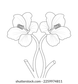 Hibiscus Flower Coloring Page And Book illustration Line Art Hand Drawn Of Beautiful Flower Black And White China Rose Drawing Vector Flower 