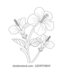 Hibiscus Flower Coloring Page And Book illustration Line Art Hand Drawn Of Beautiful Flower Black And White China Rose Drawing Vector Flower 