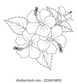 hibiscus flower coloring page illustration and line art stroke black   white hand drawn  beautiful rose sharon flower drawing sketch blossom red petal doodle line art vector graphic design