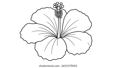 Hibiscus flor colorir esboço da página enfatizando o pistilo distintivo longo que se estende do centro da flor