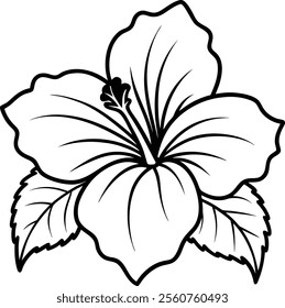 Hibiscus Flower with Dramatic Petals and Bud Vector Illustration