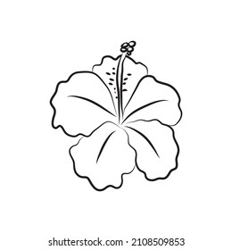 Hibiscus flower drawn with lines. Isolated large opened bud. For invitations and valentines