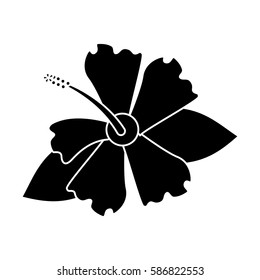 hibiscus flower exotic pictogram