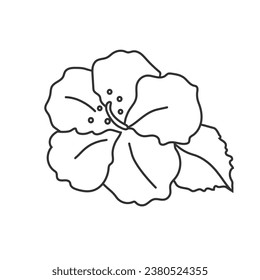 Hibiscus flower in flat line icon vector
