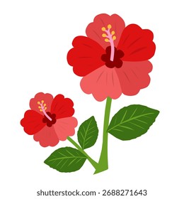 Flor de hibisco en Ilustración vectorial plana para temáticas tropicales, estampados de verano y composiciones botánicas exóticas. Ideal para el diseño de la tela y la marca.