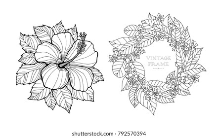 Hibiscus flower and floral wreath isolated. Trophy plant. Aloha Hawaii. Summer fun. Vector artwork. Black and white. Coloring book pages for adults and kids. Zentangle Illustration. Boho, bohemian.