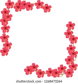 Hibiscus Flower Frame